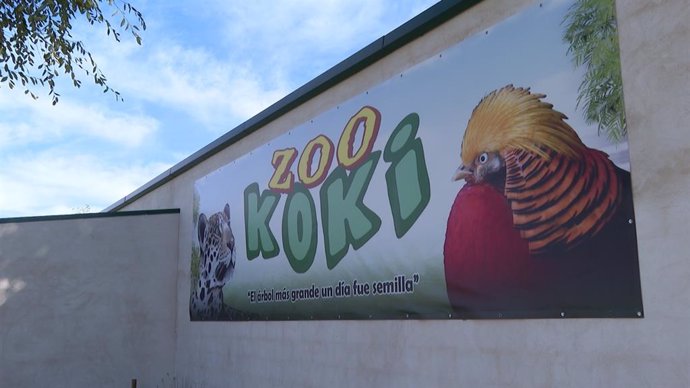 Archivo - Zoo Koki