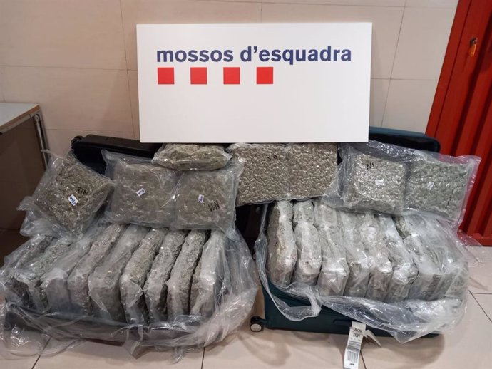 Marihuana decomisada en el aeropuerto de Barcelona