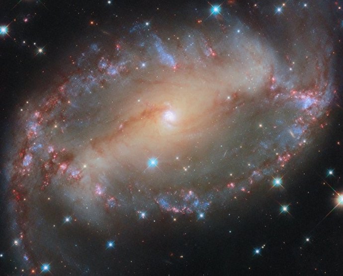 Esta imagen del Telescopio Espacial Hubble de NASA/ESA muestra la galaxia espiral NGC 2566.