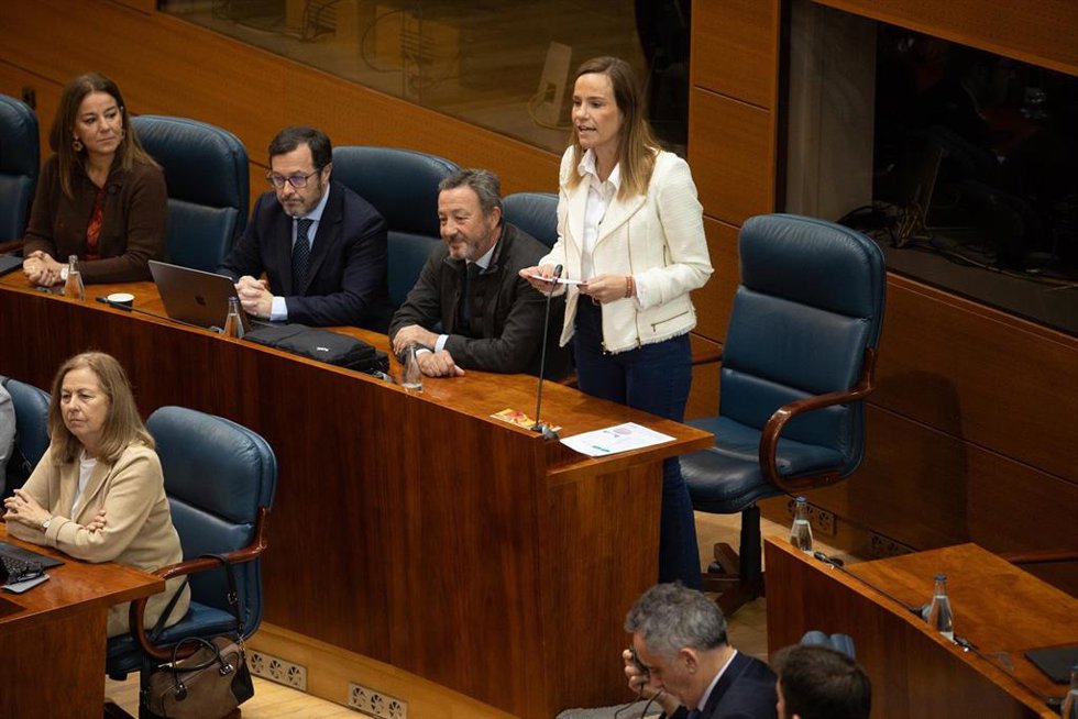 La portavoz de Vox en la Asamblea de Madrid, Isabel Pérez Moñino-Aranda, interviene durante una sesión plenaria en la Asamblea de Madrid, a 12 de diciembre de 2024, en Madrid (España).