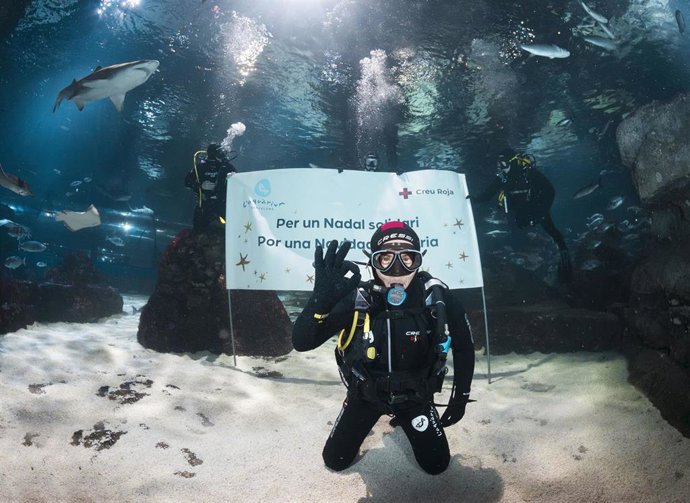 El chef Jordi Cruz se sumerge entre tiburones en el Baño Solidario del Aquarium de Barcelona