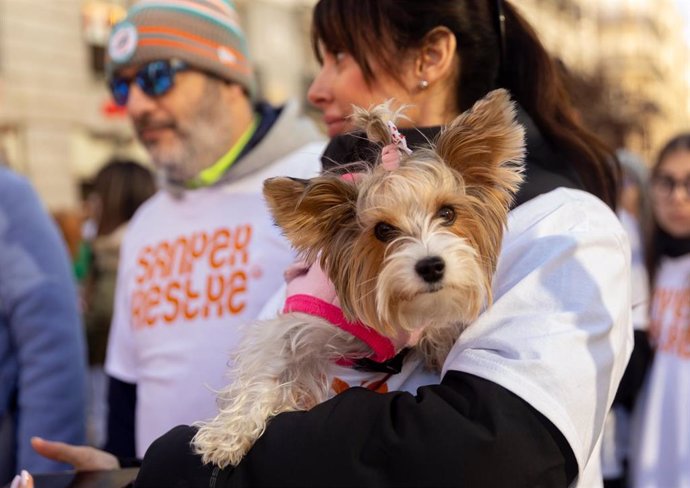 Una mujer con su perro durante la ‘Sanperrestre’ 2024, a 30 de diciembre de 2024, en Madrid (España). La protectora El Refugio ha convocado el encuentro, que se celebra de manera anual el 30 de diciembre con el objetivo de luchar contra el abandono y el m