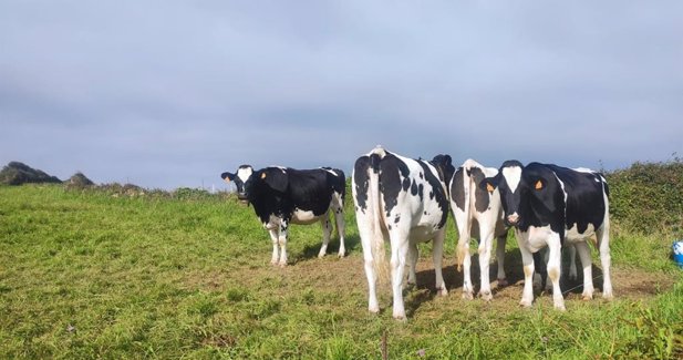 Asturias Rural