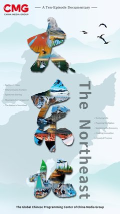 Comunicados Internacional