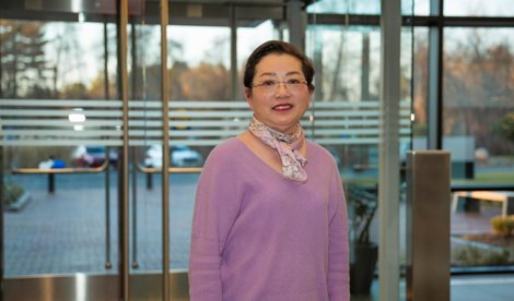 Comunicados Internacional