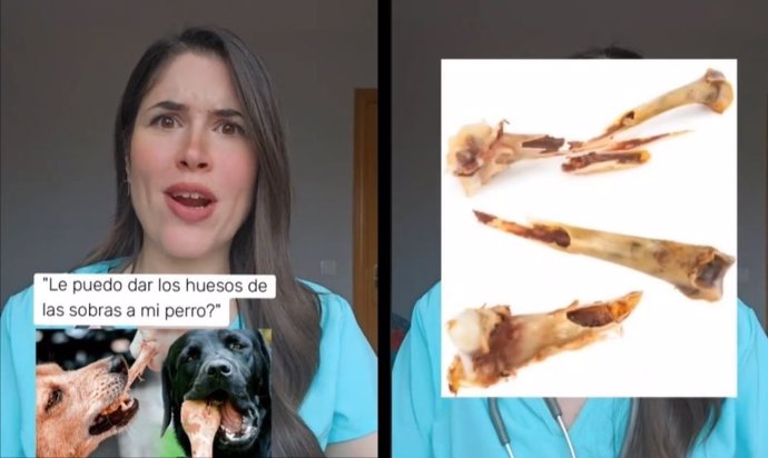 Soy veterinaria y esto es lo que pienso de dar huesos a los perros: "jamás le daría los cocinados de las sobras"