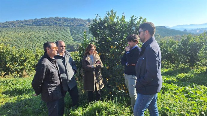 La delegada Gobierno andaluz en Málaga, Patricia Navarro, ha visitado este jueves una finca de cítricos en el Valle del Guadalhorce.