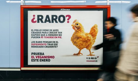 Comunicados Sociedad