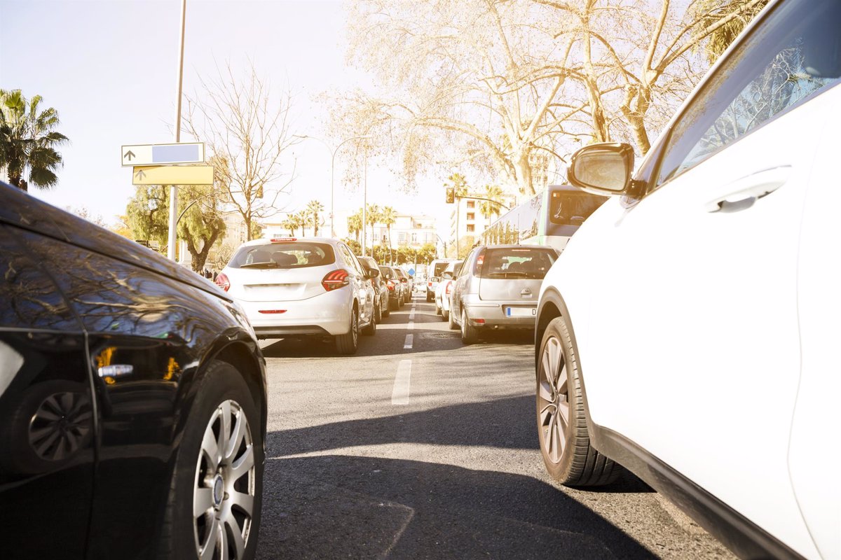 Las matriculaciones del canal  rent a car  repuntan casi un 36% en 2024, hasta las 207.634 unidades