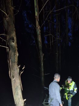 Motorista herido al chocar con un árbol en una pista forestal entre Seña y Liendo