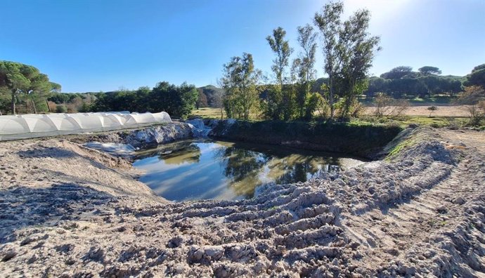 Trabajos de inspección en la zona del arroyo de La Cañada, en Almonte (Huelva) de excavaciones en el terreno para la obtención ilegal de agua.