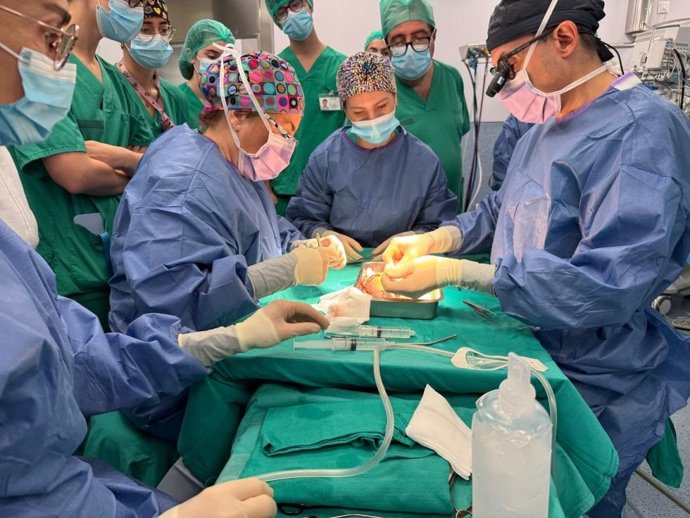 L'Hospital Doctor Peset realitza amb èxit una complicada intervenció per a salvar la funció renal d'una pacient