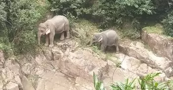 Exteriores confirma la muerte por accidente de una turista española en Tailandia