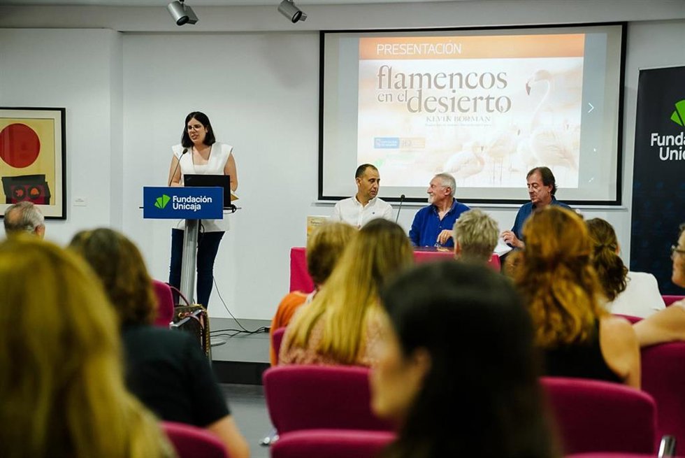 La vicepresidenta de la Diputación de Almería y diputada de Cultura, Cine e Identidad Almeriense, Almudena Morales, durante la presentación de 'Flamencos en el Desierto'.