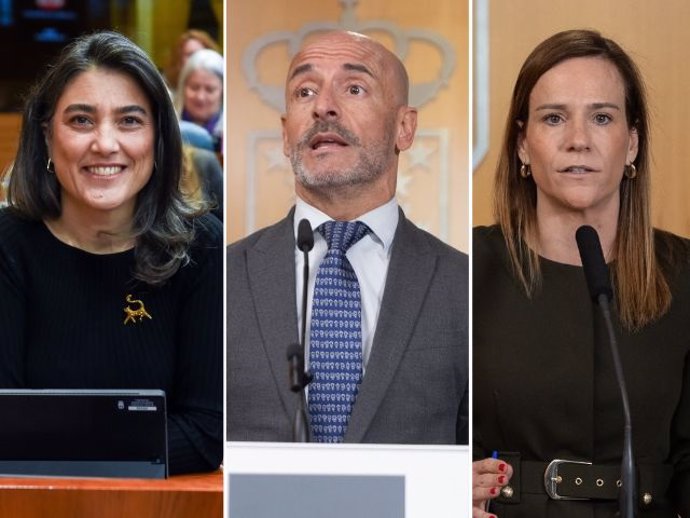 Bergerot (Más Madrid) Celada (PSOE) y Moñino (Vox).