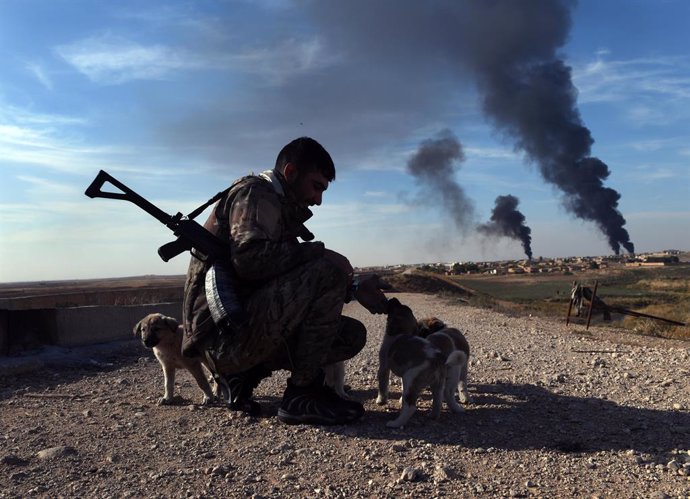 Archivo - November 12, 2019, Tel Tamir, Syria: Syrian Kurdish YPG soldiers care for puppies at a checkpoint on the road to Tel Tamer, Syria on November 12, 2019. Smoke from burning oil is used to shield from drone and airstrikes. The frontline has moved t