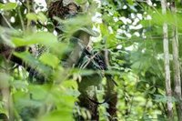 La UE y nueve países alertan de la escalada de violencia y la crisis humanitaria en Birmania