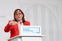 Paneque diu que el Govern "continuarà demanant" les dades d'execució pressupostària a Hisenda