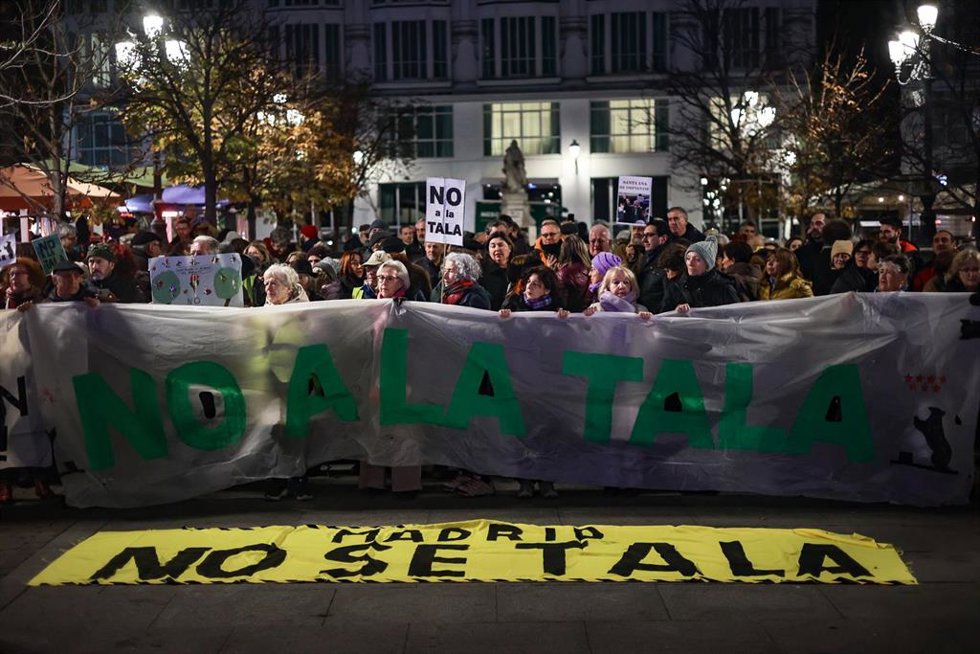 Manifestación en plaza Santa Ana de este martes, 7 de enero, contra las talas