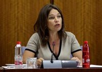 La eurodiputada Lina Gálvez pregunta en la Comisión de la UE por el caso del hijo menor de Juana Rivas