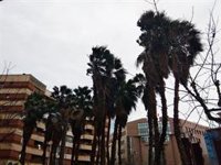 La alerta naranja por viento en zonas expuestas de Bizkaia y Álava se extiende hasta las 15.00 horas