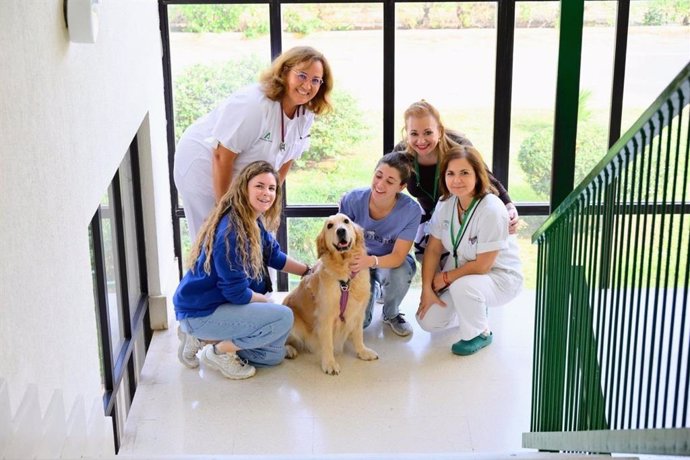 El Hospital Clínico inicia un proyecto de acompañamiento emocional a través de terapia asistida con animales