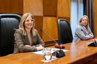 El pleno de aprobación definitiva del presupuesto municipal de Zaragoza será el 20 de febrero