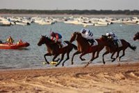 La 180 edición de las Carreras de Caballos de Sanlúcar (Cádiz) será los días 5, 6 y 7 y 19, 20 y 21 de agosto de 2025