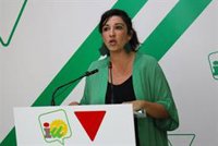 IU exige declaración de Málaga como zona tensionada: "La situación en la provincia es de auténtica emergencia"