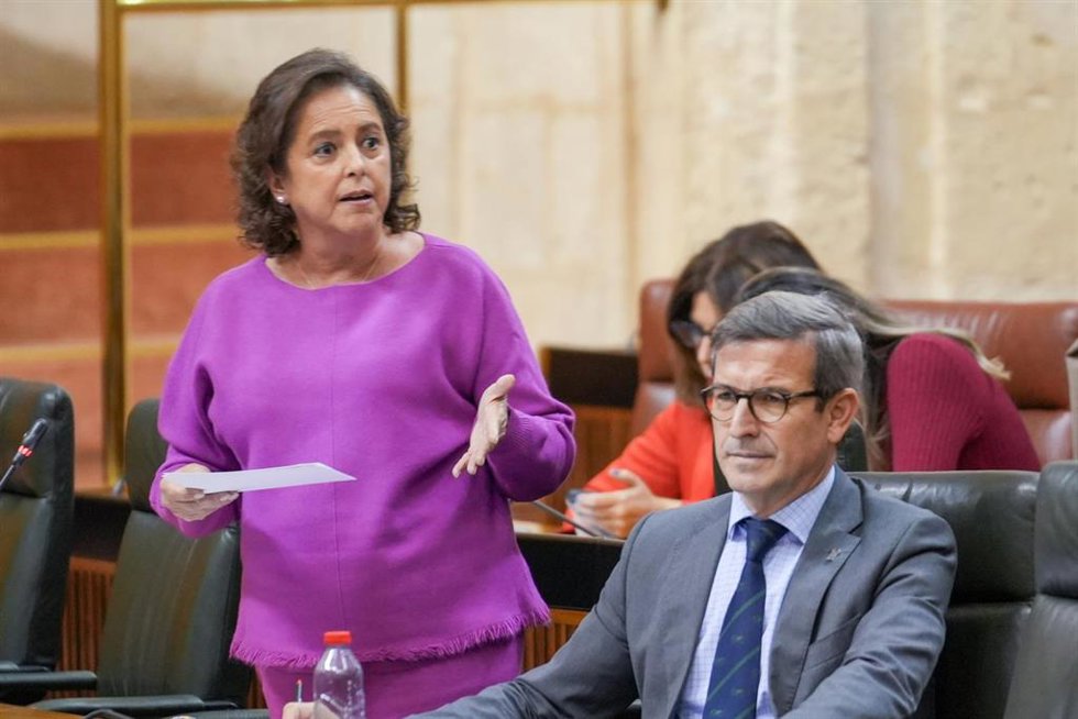 Archivo - La consejero de Sostenibilidad, y Medio Ambiente, Catalina García, interviene en imagen de archivo en el Parlamento en presencia del titular de Industria, Jorge Paradela