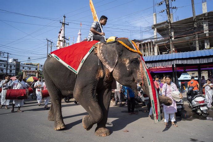 Archivo - Imagen de archivo de un elefante en un festival en India.