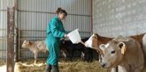 Foto: Las mujeres son titulares del 23% de las explotaciones agrarias de Aragón, pero sólo el 16% tiene a una como jefa