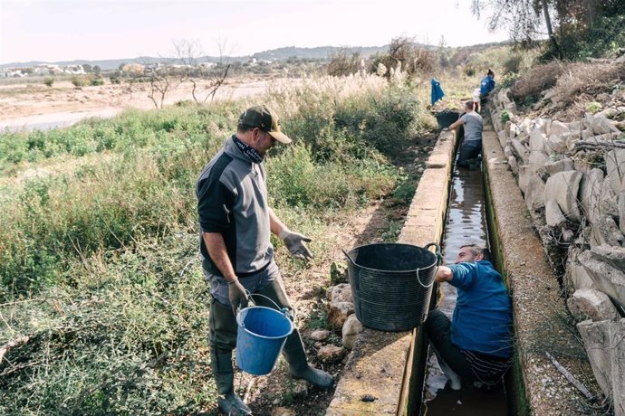 Rescatando los 'petxinots' de una acequia