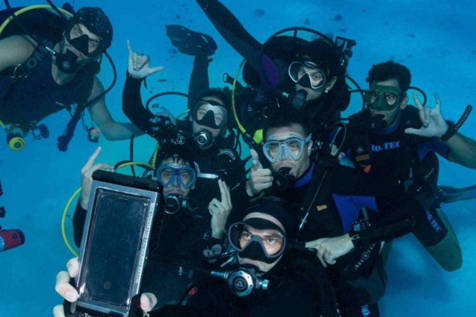 Buceo seguro con tiburones en el Mar Rojo; Desmitificando miedos y promoviendo la conservación