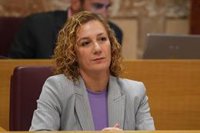 Hornillo denuncia que Sanz "abre camino a una agenda política neofranquista" tras el acuerdo con Vox