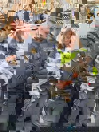 Rescatan a Chincho, un perro encerrado durante casi tres días en el interior de un coche robado en València