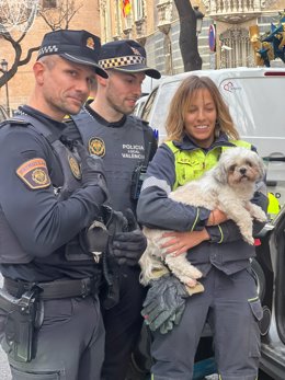 Rescatan a Chincho, un perro encerrado durante casi tres días en el interior de un coche robado