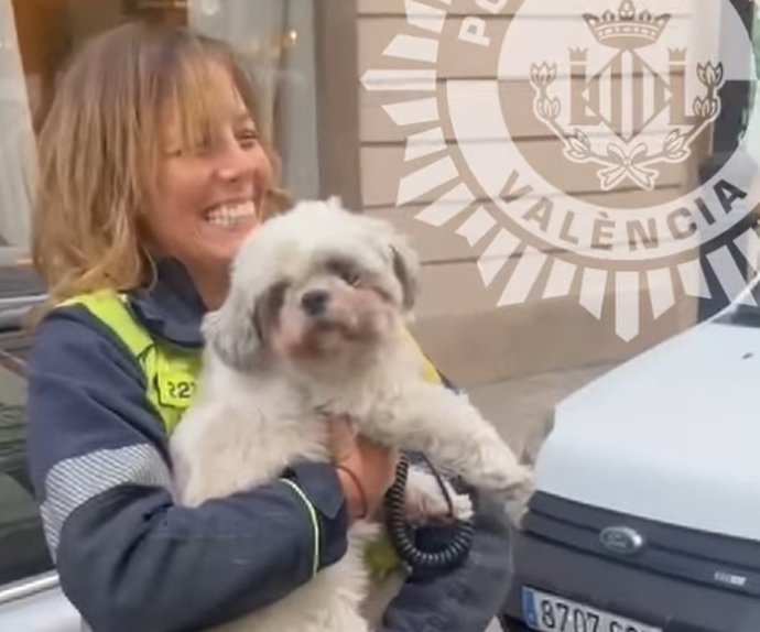 Recuperen a Chincho, un gos tancat durant quasi tres dies a l'interior d'un cotxe robat a València