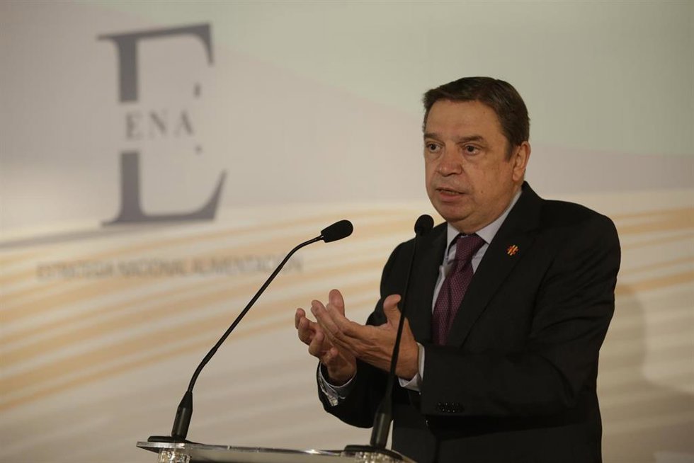 Archivo - El ministro de Agricultura, Pesca y Alimentación, Luis Planas, en imagen de archivo.