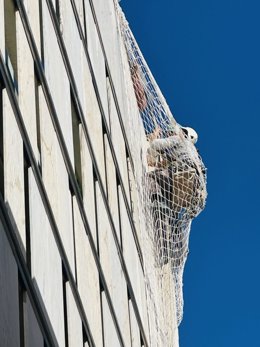 Un trabajador municipal trabaja en la retirada de placas de marmol en mal estado en el edificio del Ayuntamiento de El Puerto de Santa María.