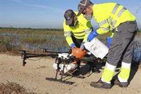 Más de 118.600 mosquitos transmisores del Virus del Nilo capturados en 2024 en Andalucía, un 139% más que en 2023