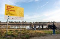 El Prat (Barcelona) abre un nuevo mirador para ver flamencos en el Delta del Llobregat