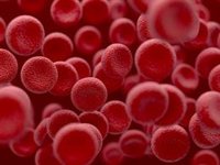 Desarrollan un nuevo modelo para mejorar la selección del tratamiento frente a la leucemia mieloide crónica