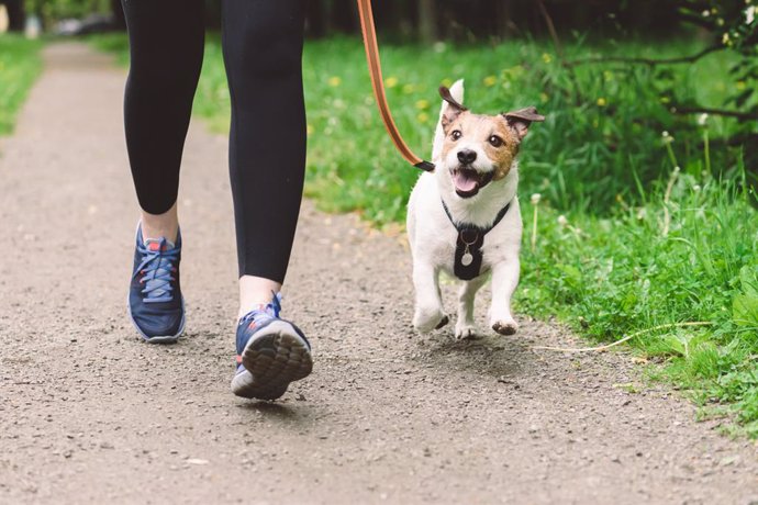 Archivo - Paseando al perro.