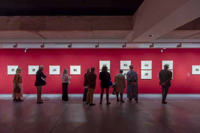 Archivo - Sala de exposiciones del Mirador del Carmen de Estepona