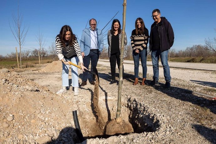 La consejera municipal de Medio Ambiente y Movilidad, Tatiana Gaudes, echa una palada de tierra para terminar de fijar uno de los ejemplares plantados en el camino de La Cartuja al Ebro.