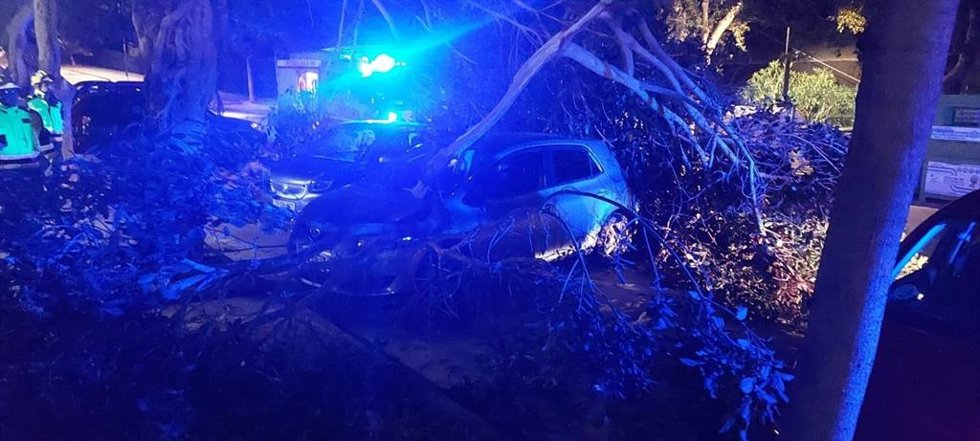 Bomberos de Torremolinos intervienen por caídas de ramas de árboles