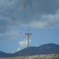 La CARM busca proteger la avifauna mediante la adaptación de líneas eléctricas de alta tensión