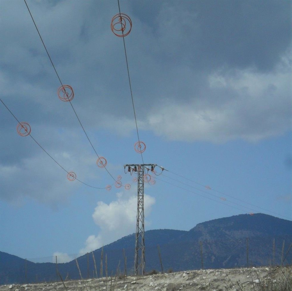 Sistemas salvapájaros para señalización de conductores y corrección de apoyos en líneas eléctricas de alta tensión.