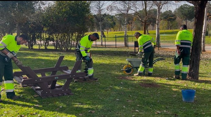 Plantación de nuevos árboles en el Parque Vega de Triana en Sevilla.